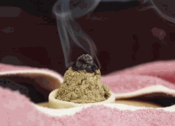 瑞颐堂药灸养生